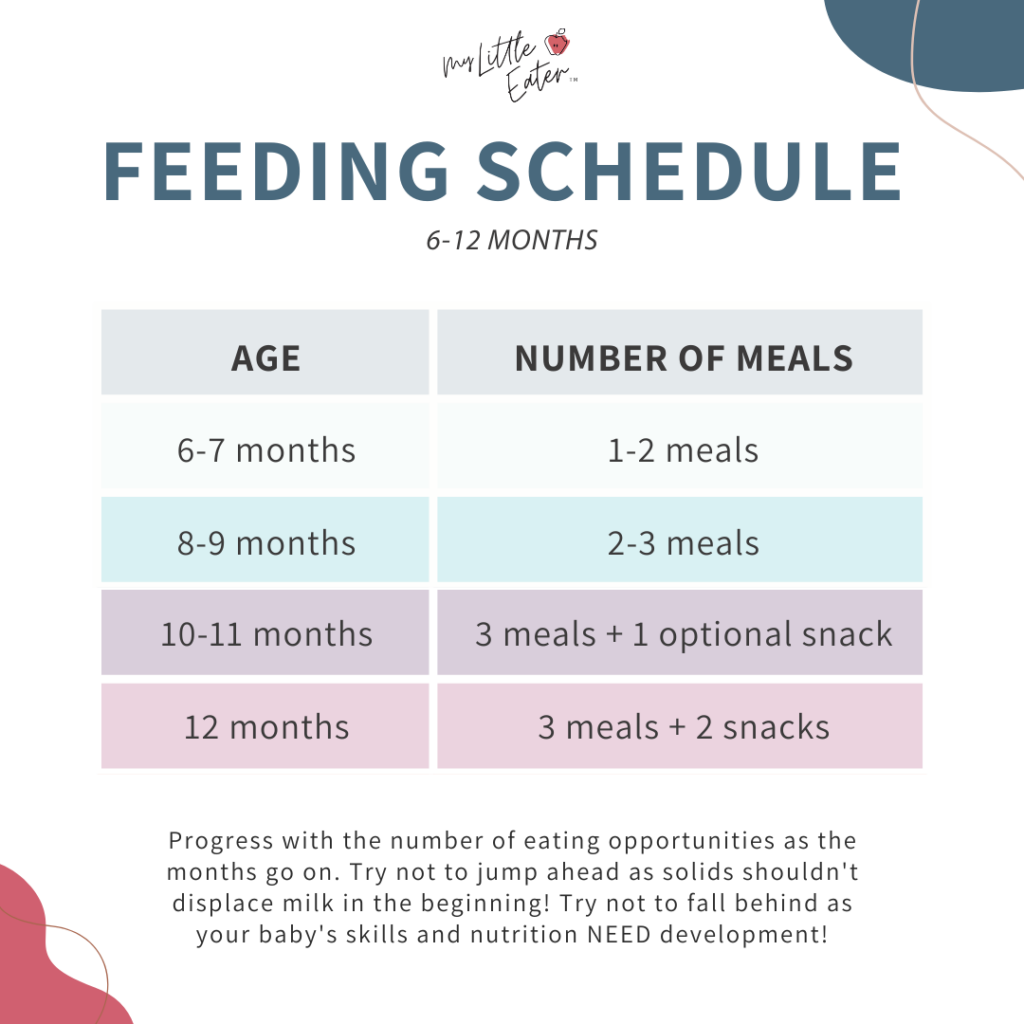 The number of meals to offer by month as you introduce solid foods to your baby.