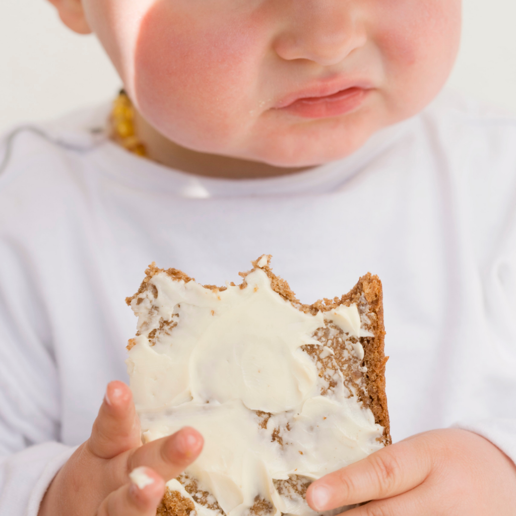 Baby holding a piece of toasted whole grain bread with cream cheese.