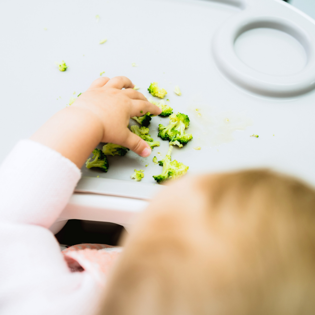 A baby in their highchair reaching for florets of broccoli.