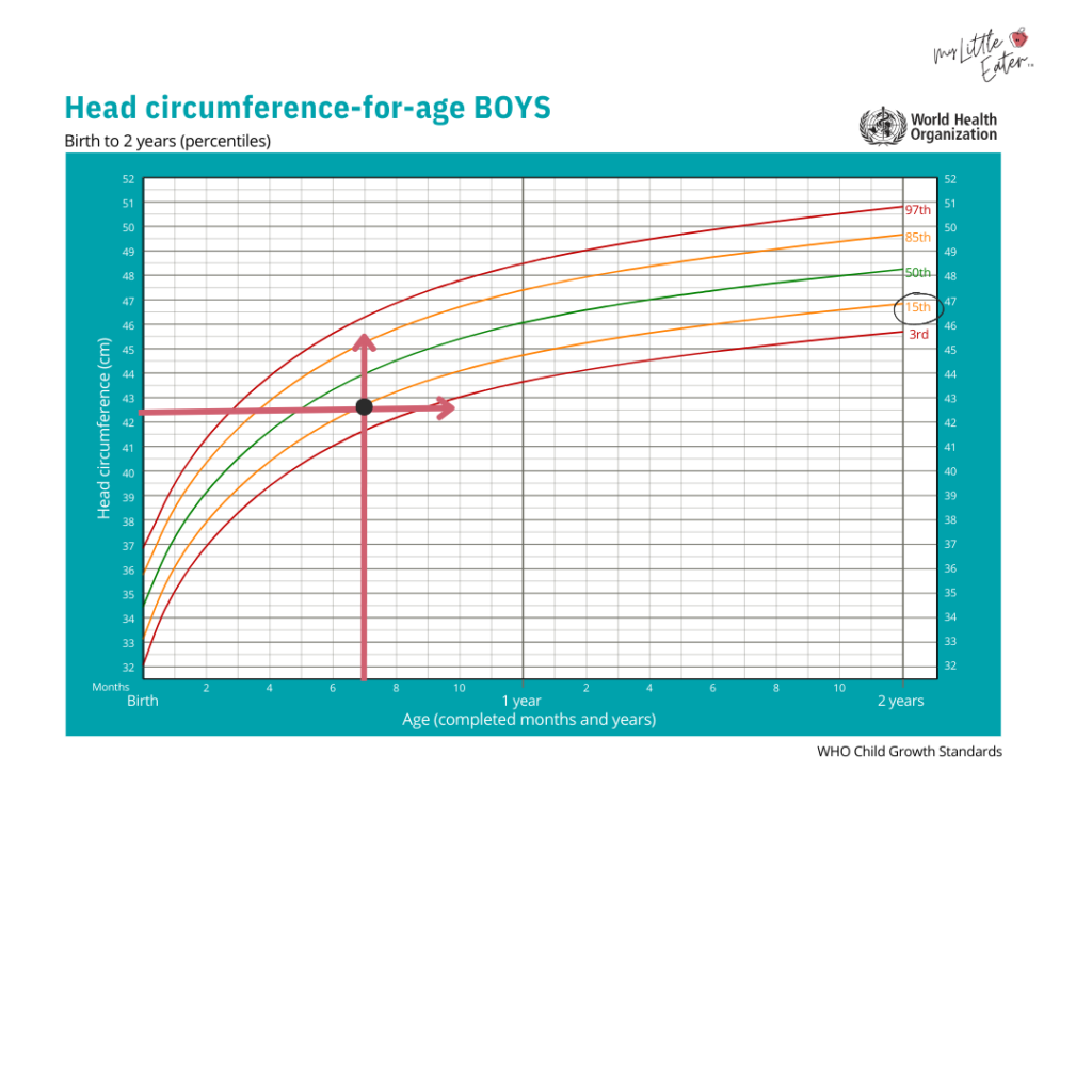 Baby growth chart for boys measuring head circumference-for-age.