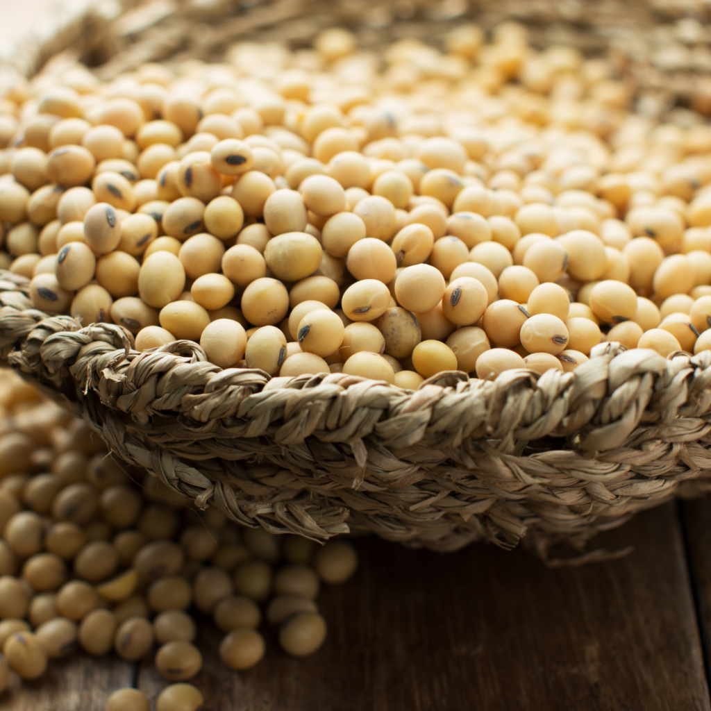 Soy beans in a bowl.