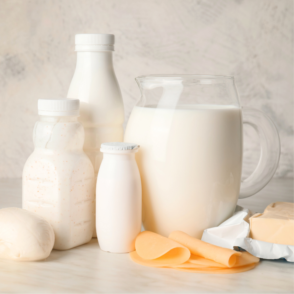 Multiple dairy foods and beverages including a jug of milk, orange cheese, butter, and white bottles of different shapes/sizes containing milk products.