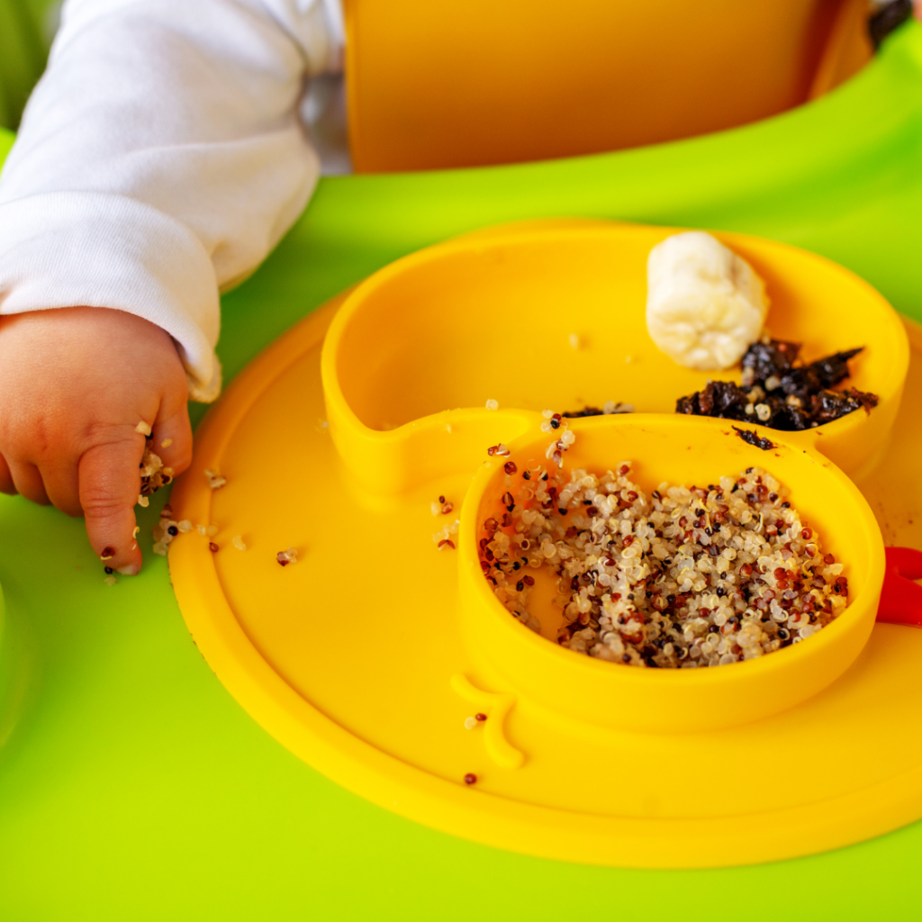 Quinoa baby food served in a duck shaped baby plate for baby led weaning.