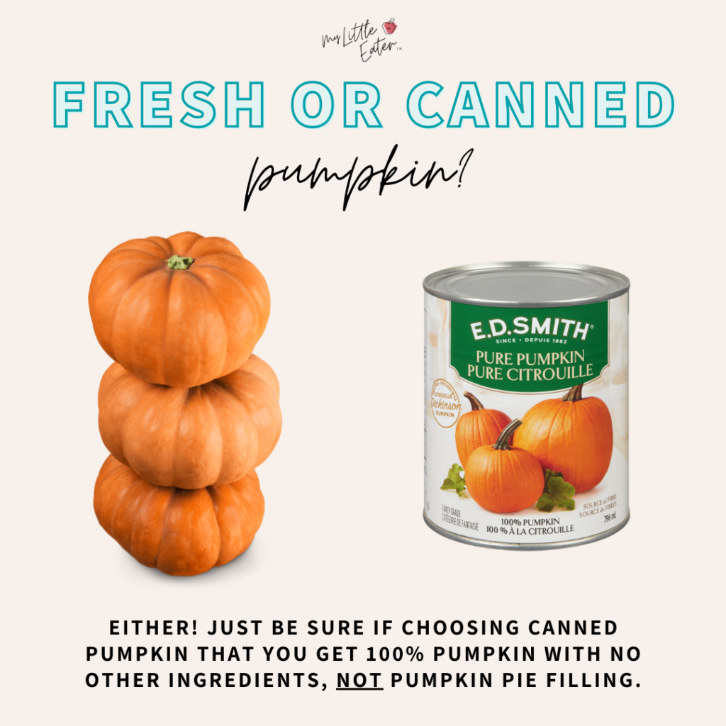 Fresh or canned pumpkin for babies? A stack of three sugar pumpkins beside a can of 100% pumpkin puree.