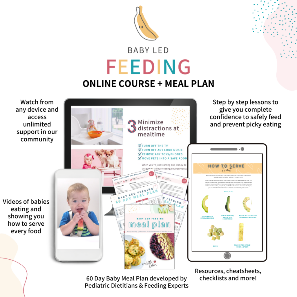 Baby led feeding program bundle by My Little Eater.