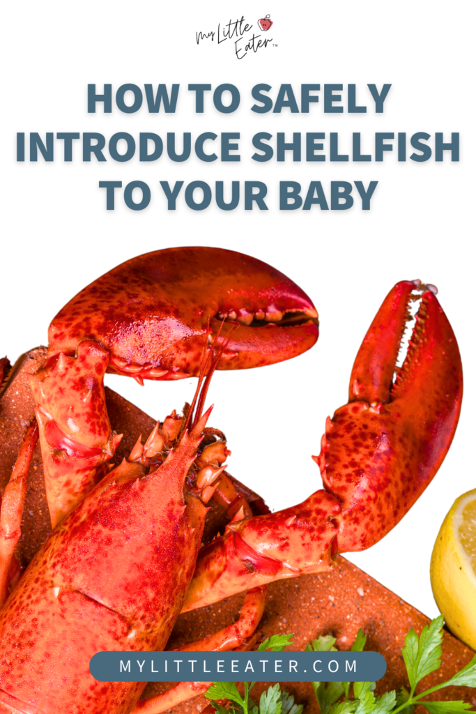 How to introduce shellfish to baby safely.