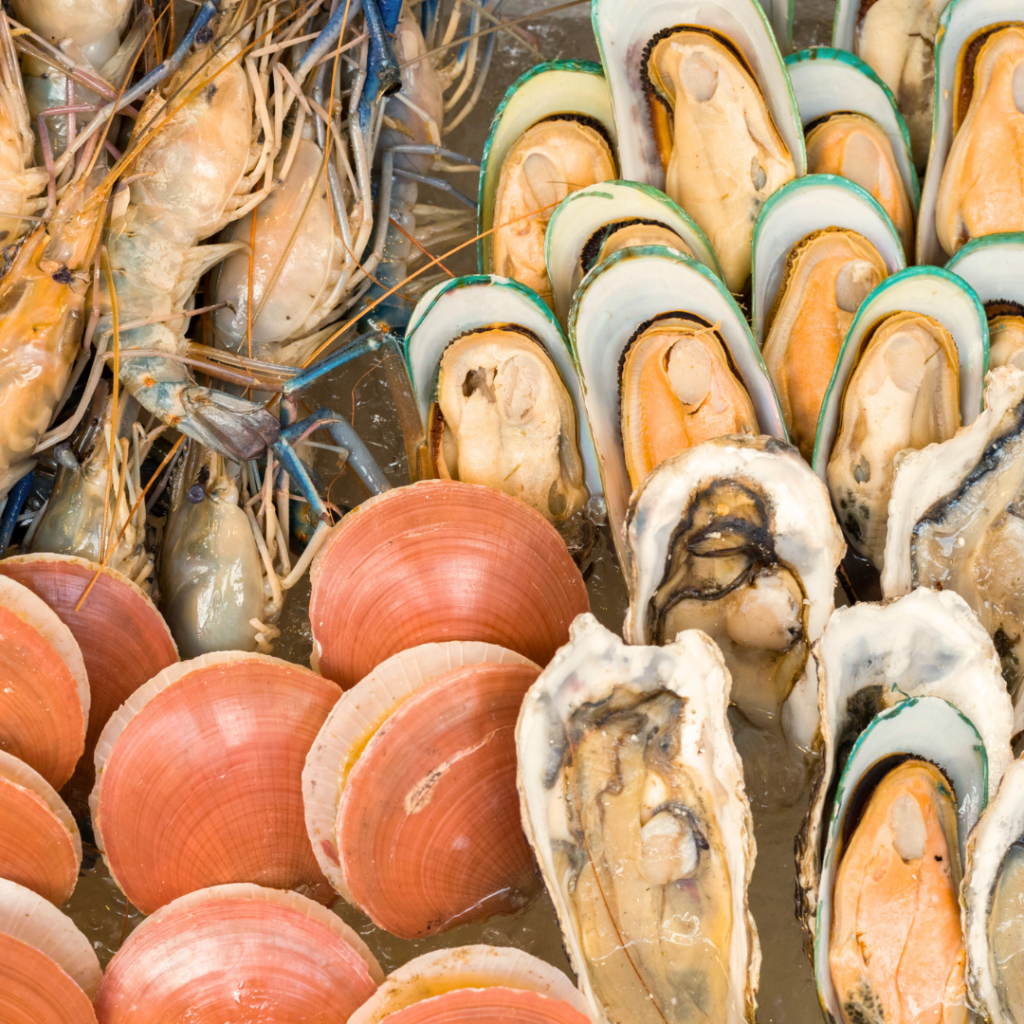 Raw shellfish including, whole shrimp, clams, mussels, and oysters.