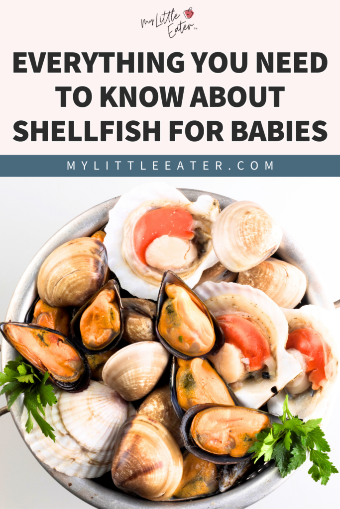 Everything you need to know about shellfish for babies.