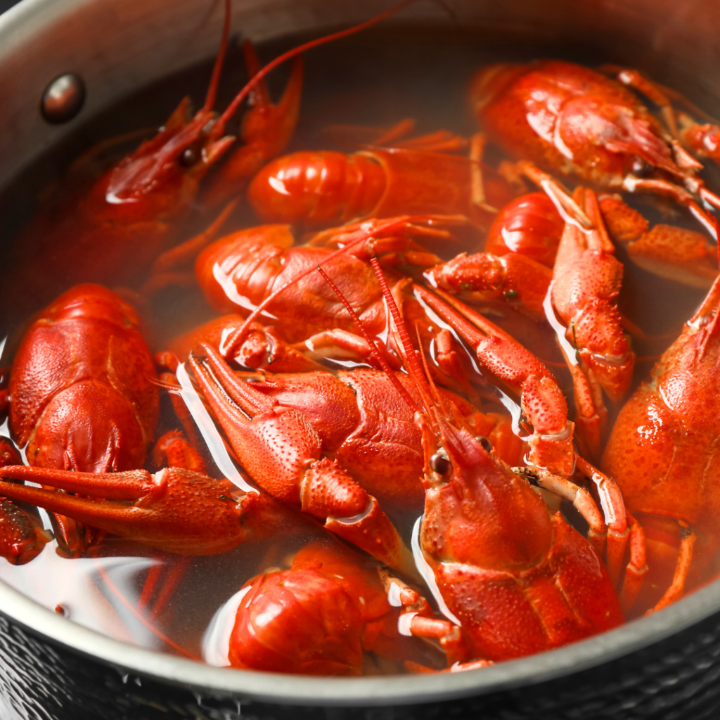 Multiple lobsters being boiled in a large pot.