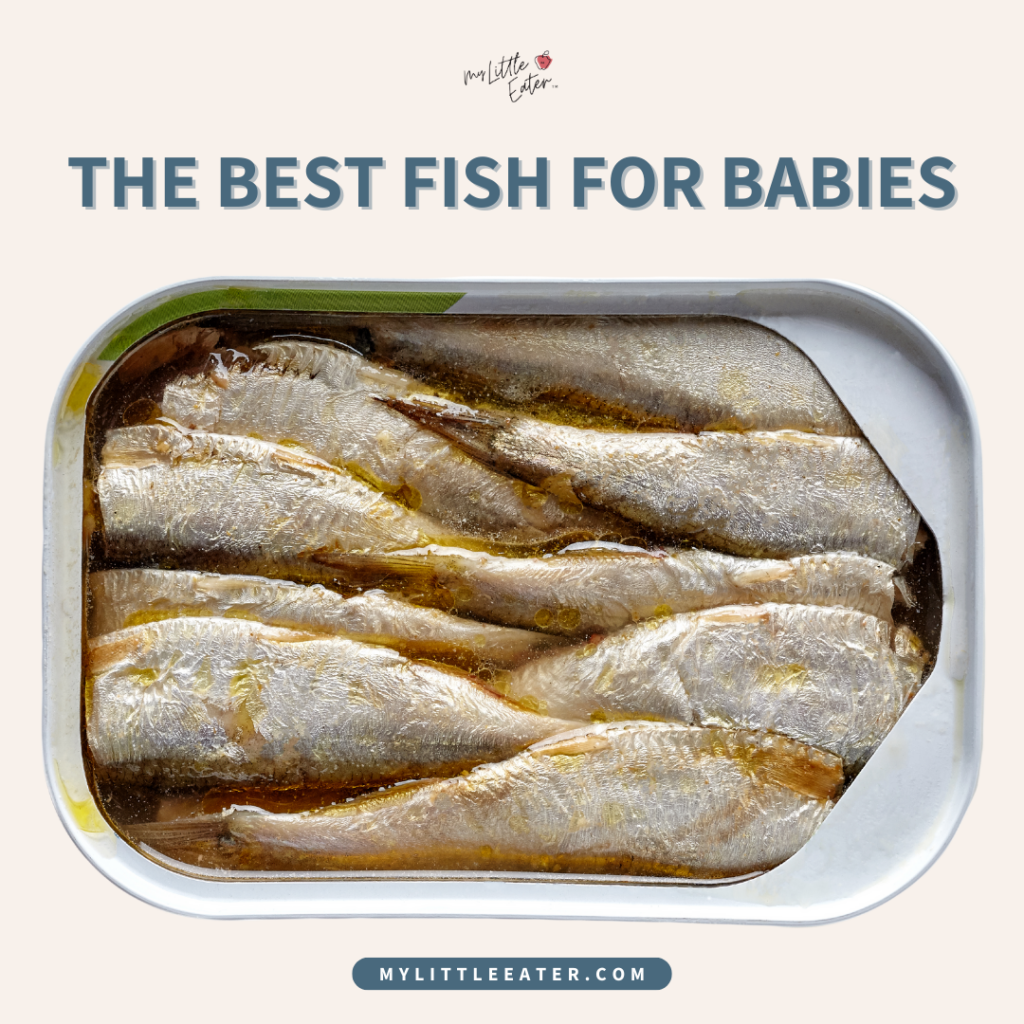 Introducing fish to your baby and the best types to offer.