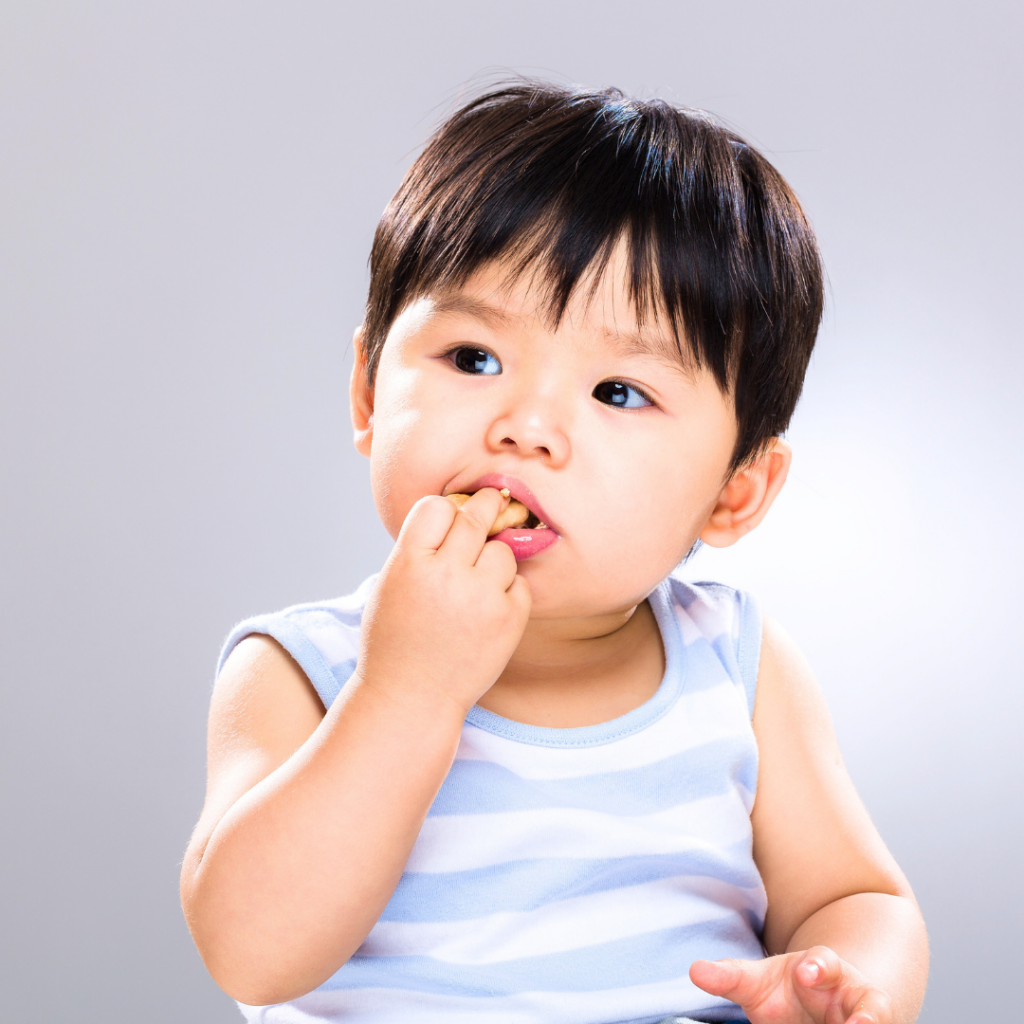 Baby eating shellfish as part of a balanced diet.