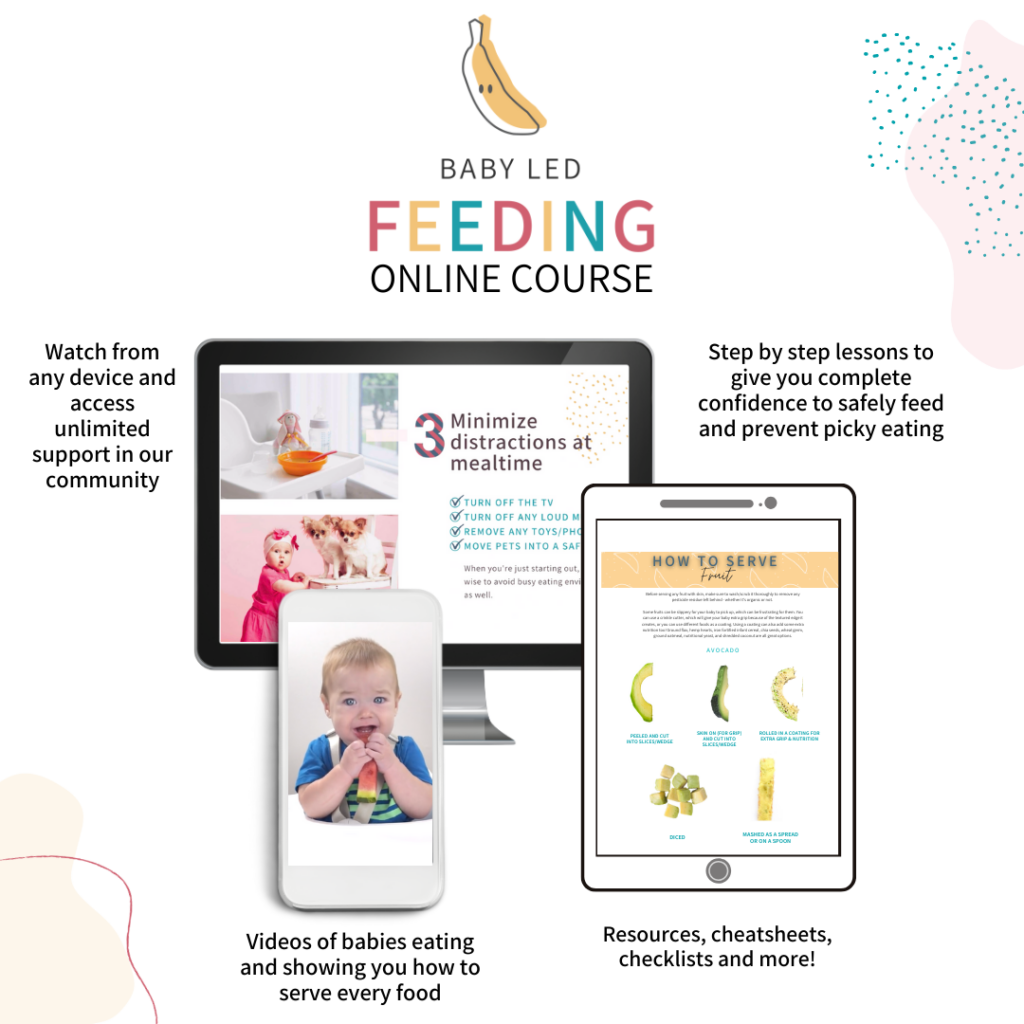 Baby led feeding online course by My Little Eater.