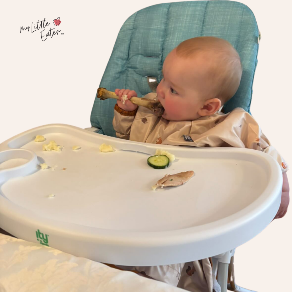 A baby sitting in their high chair chews on a drumstick bone as a way to introduce turkey as a finger food.