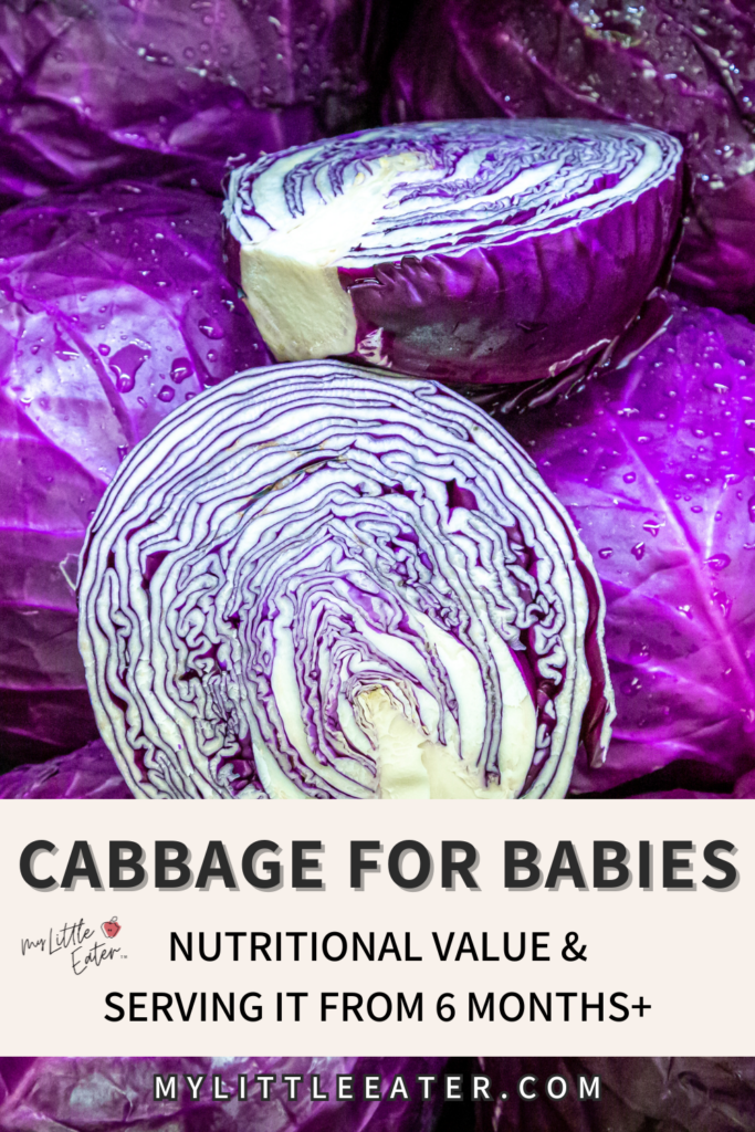 Cabbage for babies: nutritional value and serving it from 6 months+.