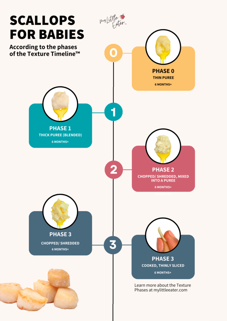 How to serve scallops to babies based on My Little Eater's Texture Timeline