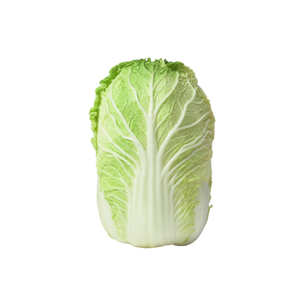 Napa raw cabbage.