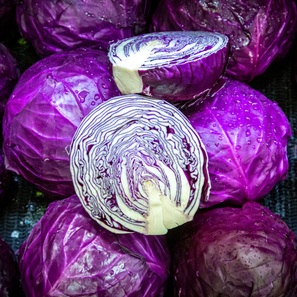 Purple cabbage, both whole and cut in half.