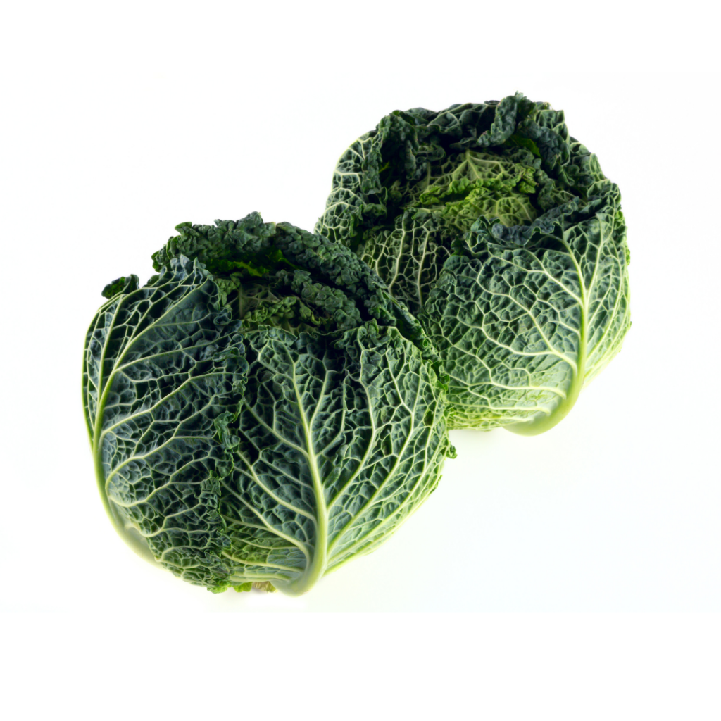 Savoy cabbage.