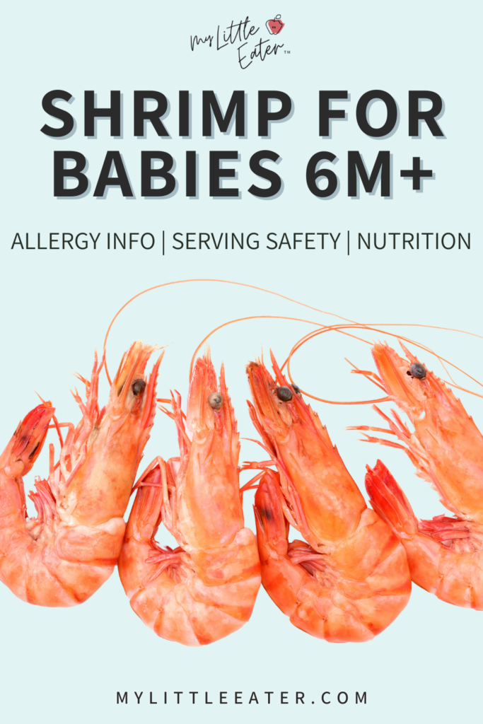 Shrimp for babies: how to serve shrimp safely to introduce shrimp for the first time to babies.