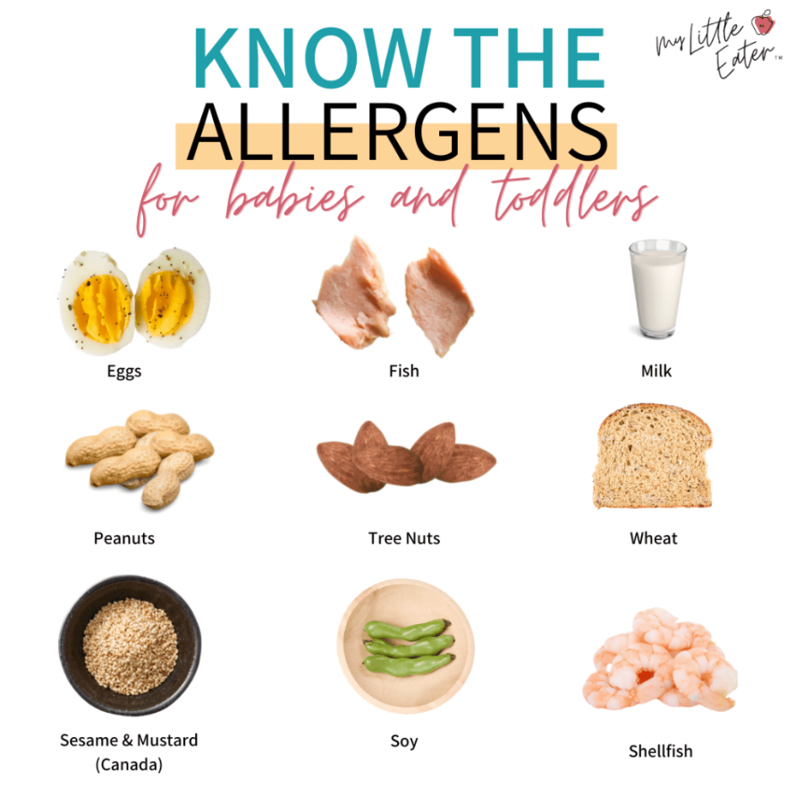 op 10 highly allergenic foods for babies including eggs, fish, dairy, peanuts, wheat, soy, etc.