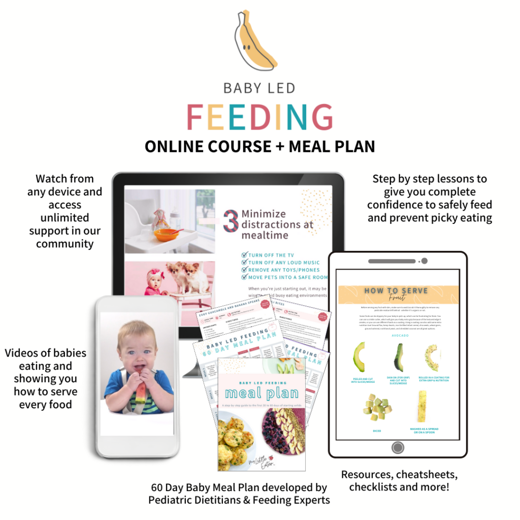 Baby Led Feeding online course by My Little Eater.