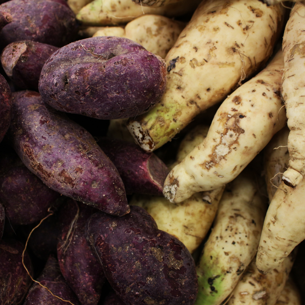 Two types of sweet potatoes, one with purple skin and one with white skin.