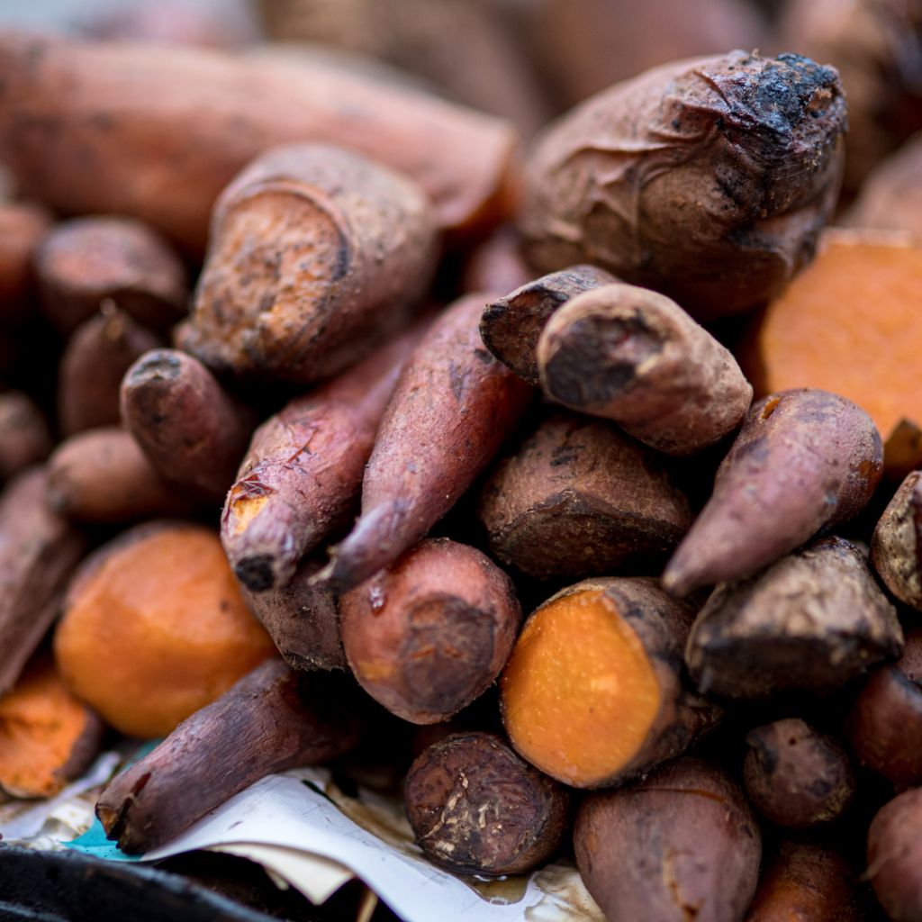 Rotting sweet potatoes in a pile.