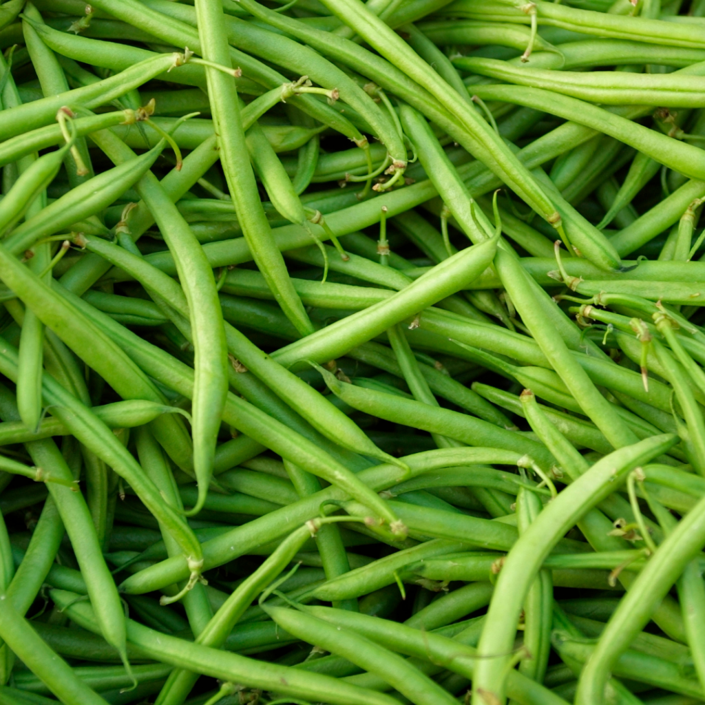 Green beans for babies: how to serve them safely from 6M+