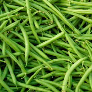 A large pile of green beans for cooking.