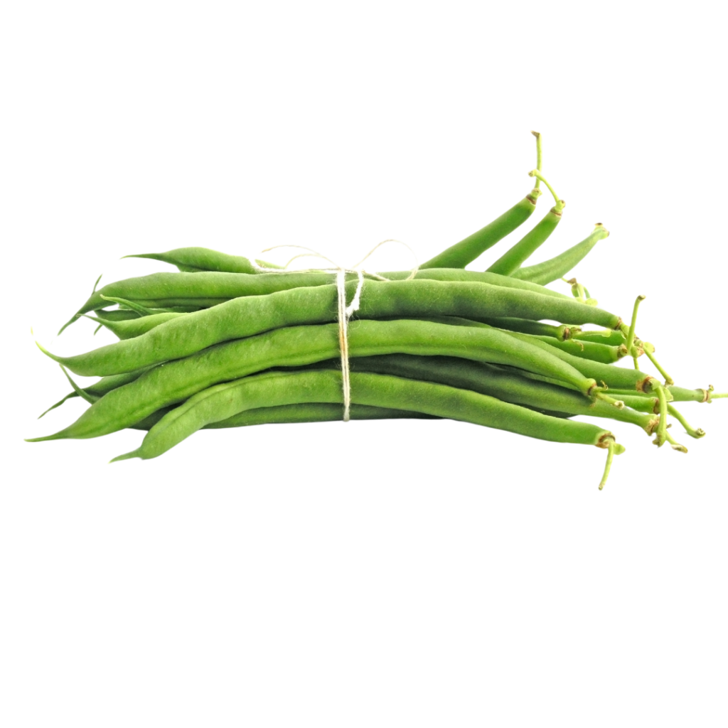 A bundle of green beans tied with string for baby led weaning.