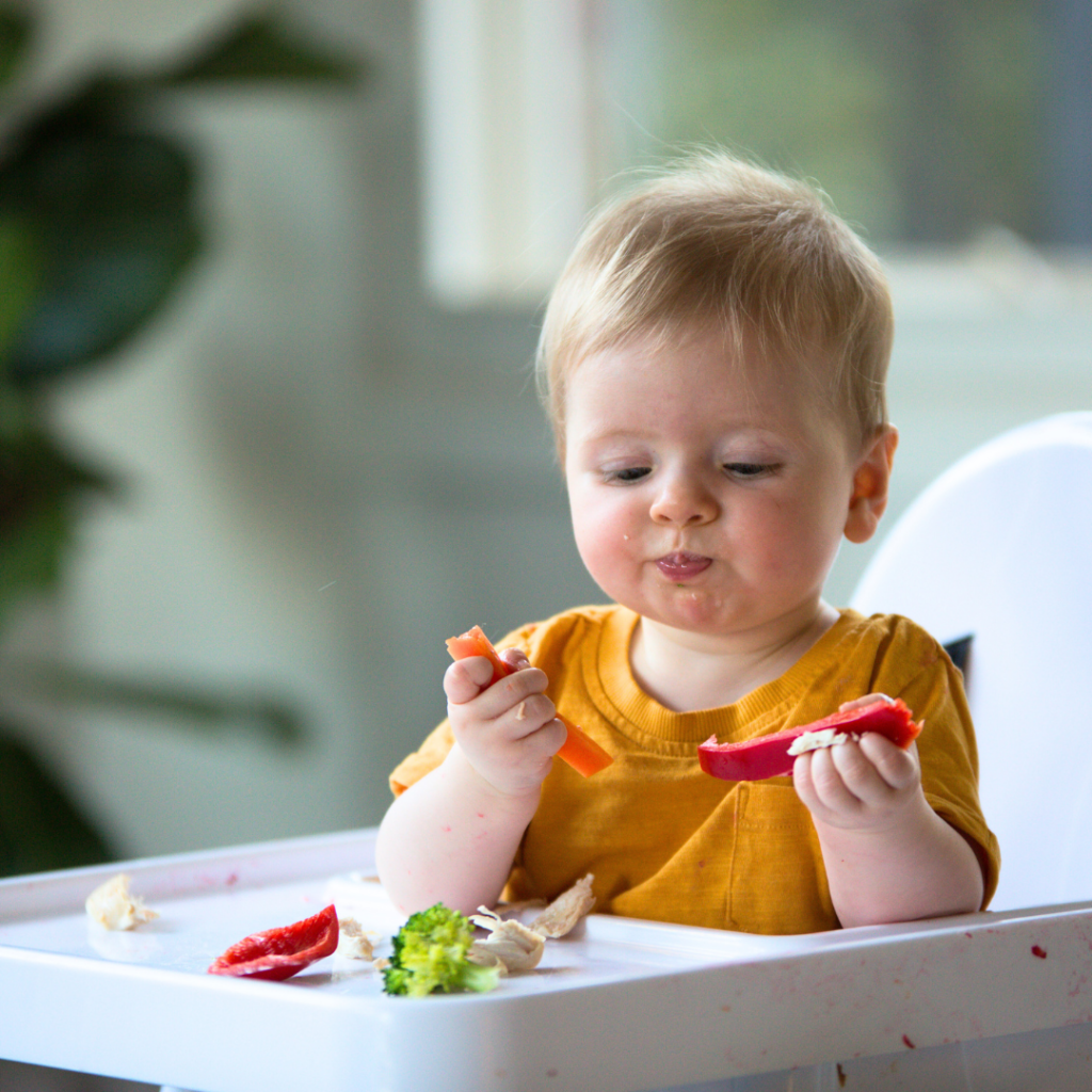 Baby holds strips of pepper in order to self-feed while sitting in their high chair.