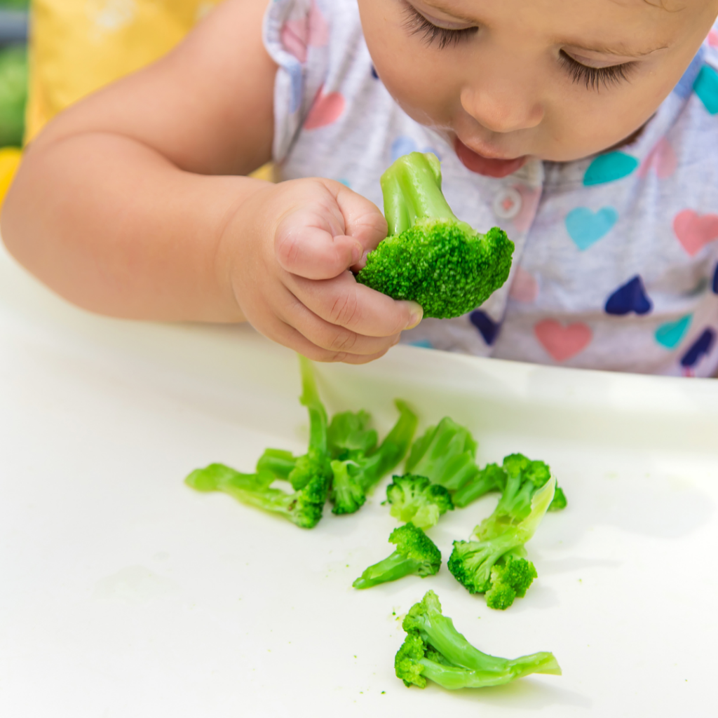 A baby seated in a high chair and bringing a piece of broccoli to their mouth.