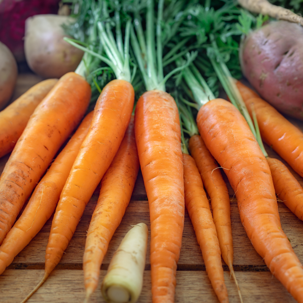 A bunch of carrots surrounded by parsnips, sweet potatoes, and potatoes.