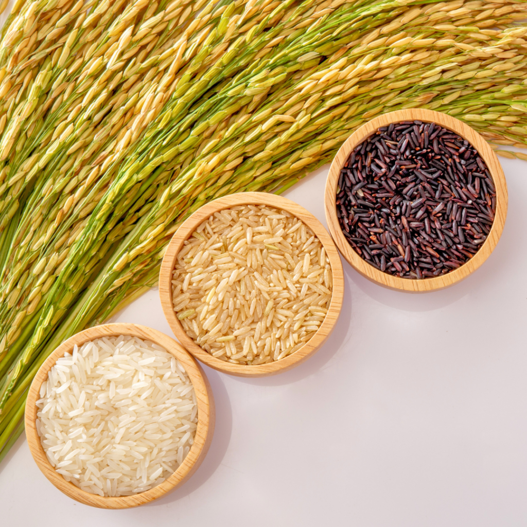 Three types of rice in bowls, including white rice, brown rice, and wild rice.