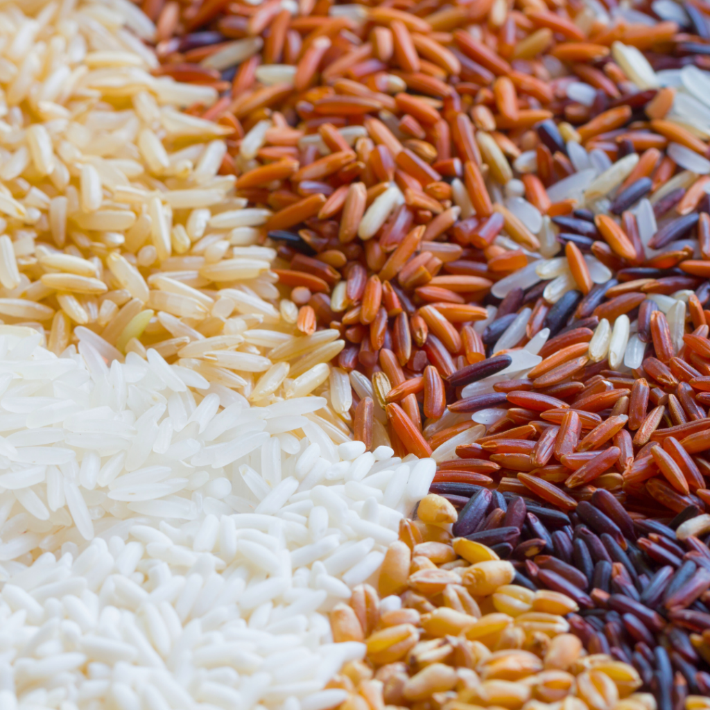 Various types of rice to try as part of a balanced diet, including white, brown, and wild.