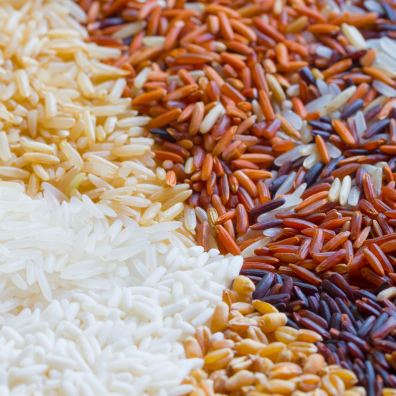 Rice for babies: how to serve it safely from 6 months+ - My Little Eater