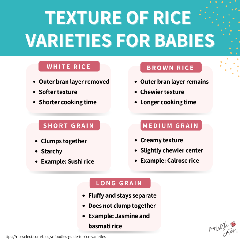 Texture of rice varietities for babies, includes characteristics of white rice, brown rice, short grain, medium grain, and long grain.