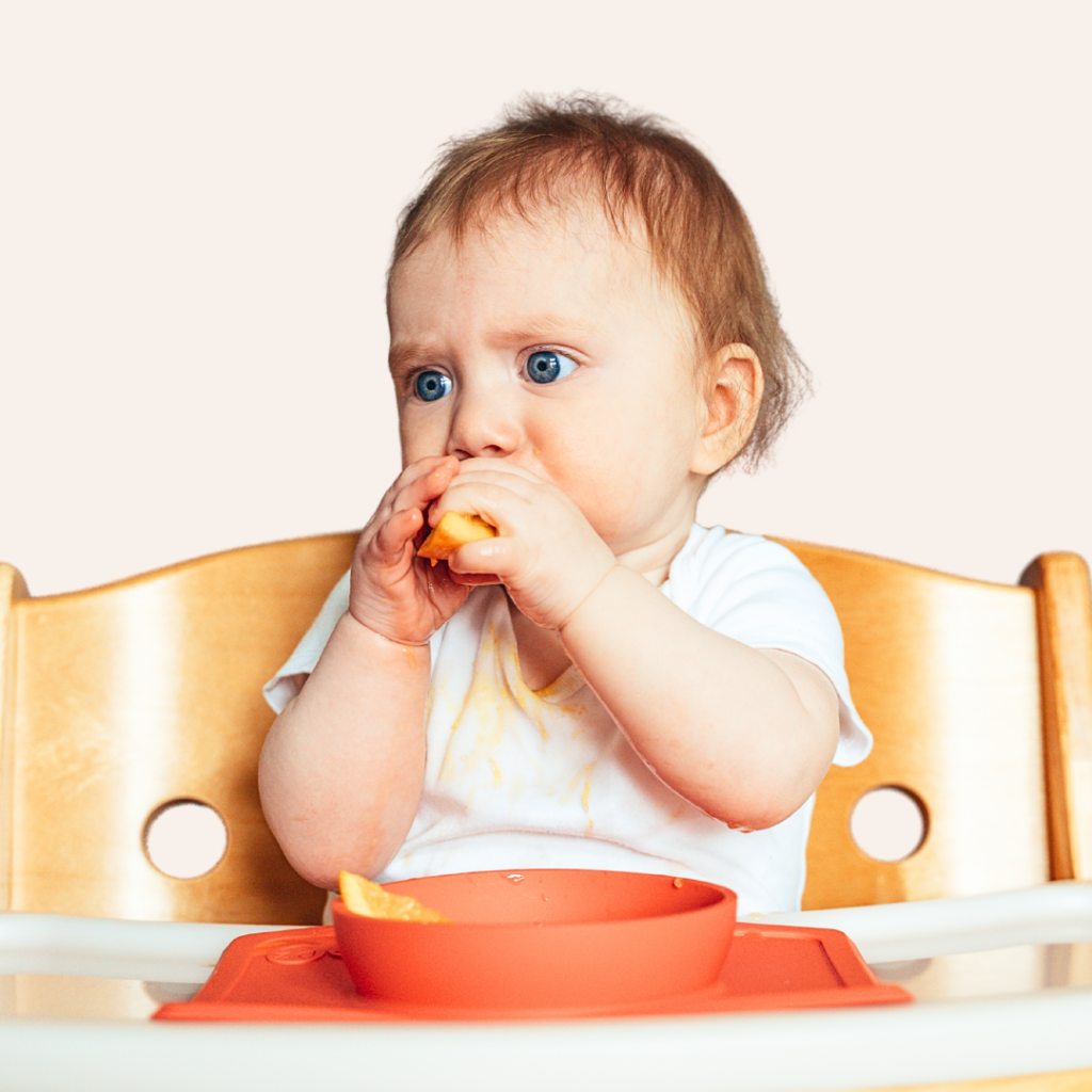 A baby in a high chair with an orange in their bowl on their tray and holding a wedge to their mouth while doing baby led weaning.