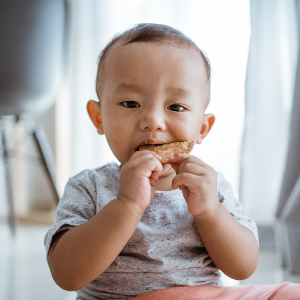 Baby sitting on the floor munching on a finger food.