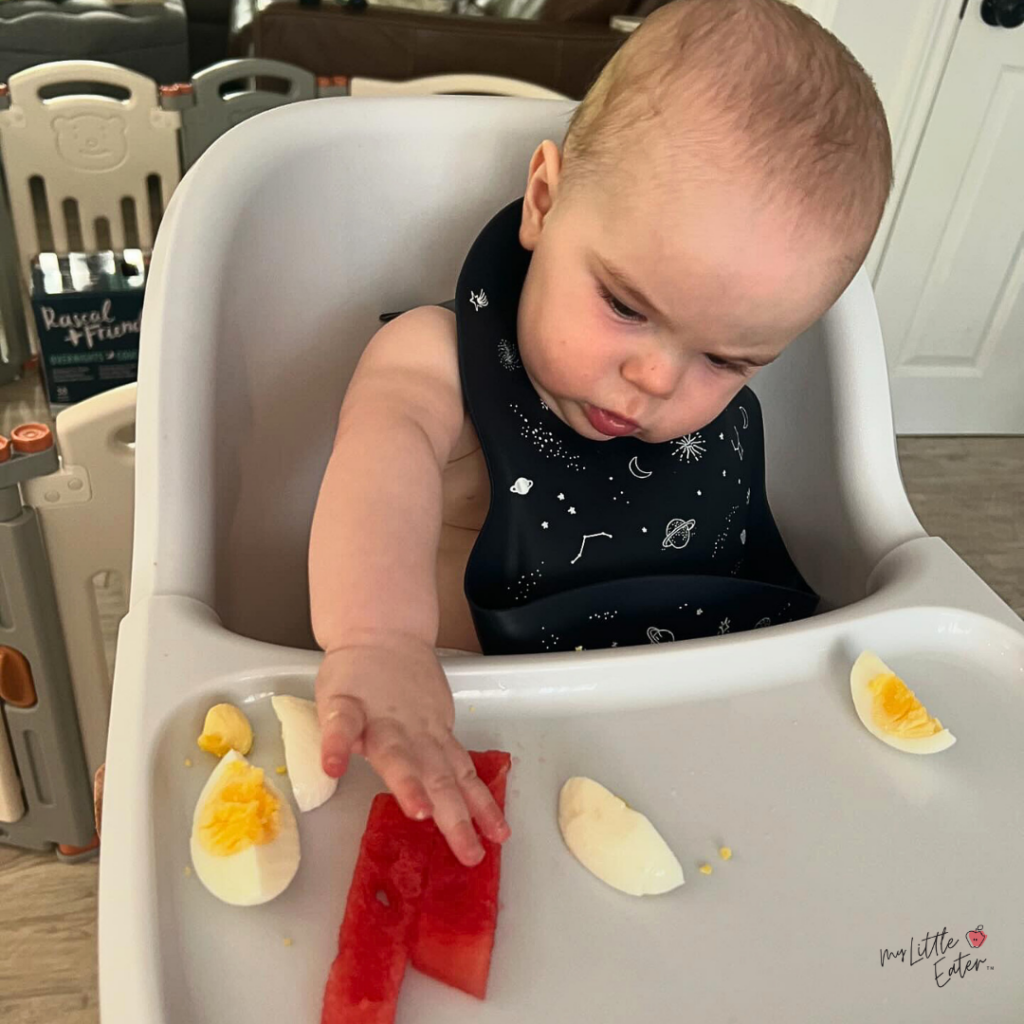 A baby sitting in a high chair with a black bib on reaches for watermelon strips and hard-boiled egg cut into wedges.