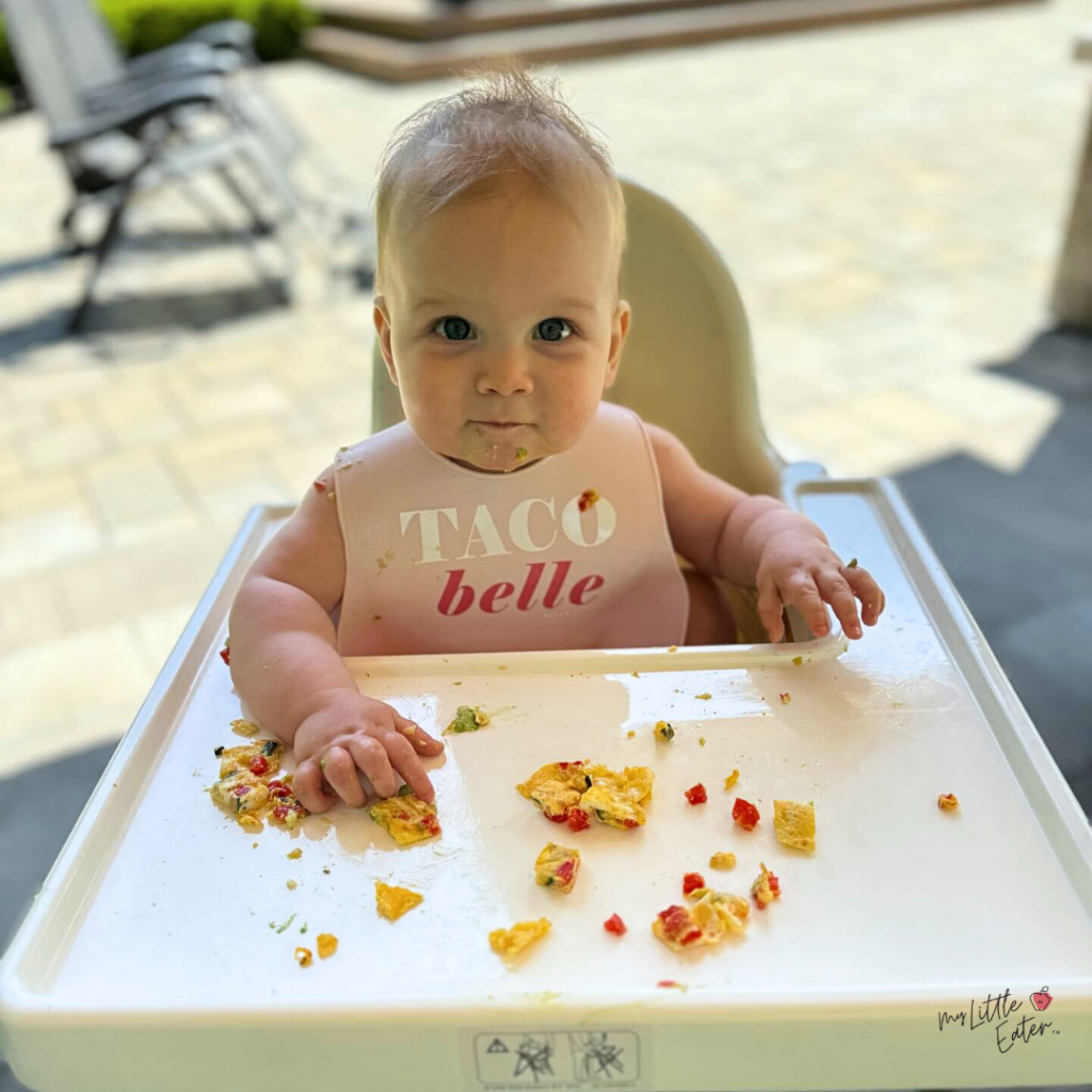 A baby sitting in a highchair with a pink bib on reaches for scrambled eggs mixed with red and green peppers.