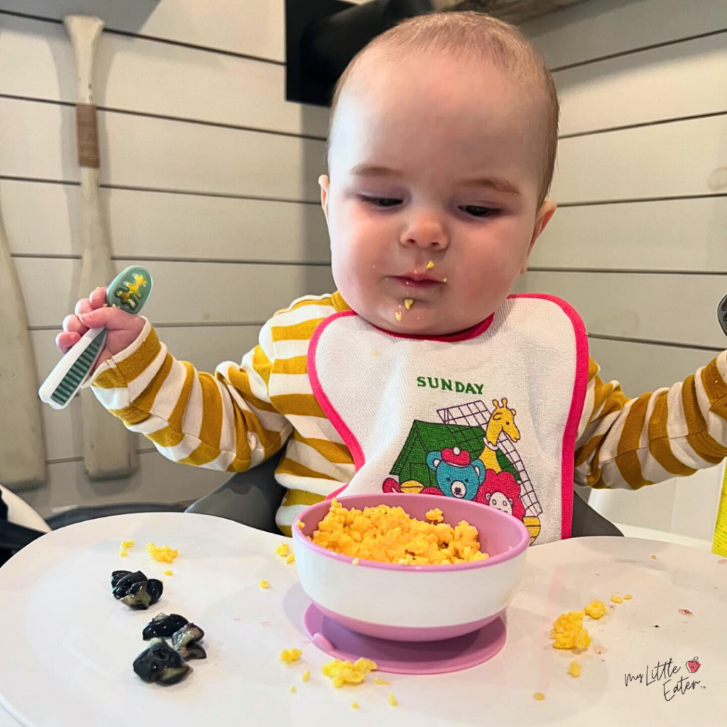 A baby sitting in a highchair holds up a baby spoon in their hand and has a bowl with scrambled eggs and smashed blueberries on their tray.