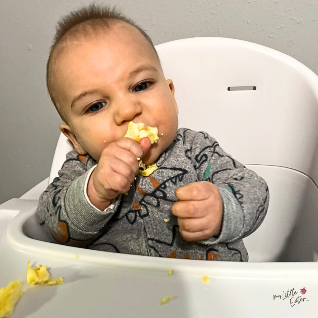 A baby sits in a highchair and eats scrambled eggs from their hand.