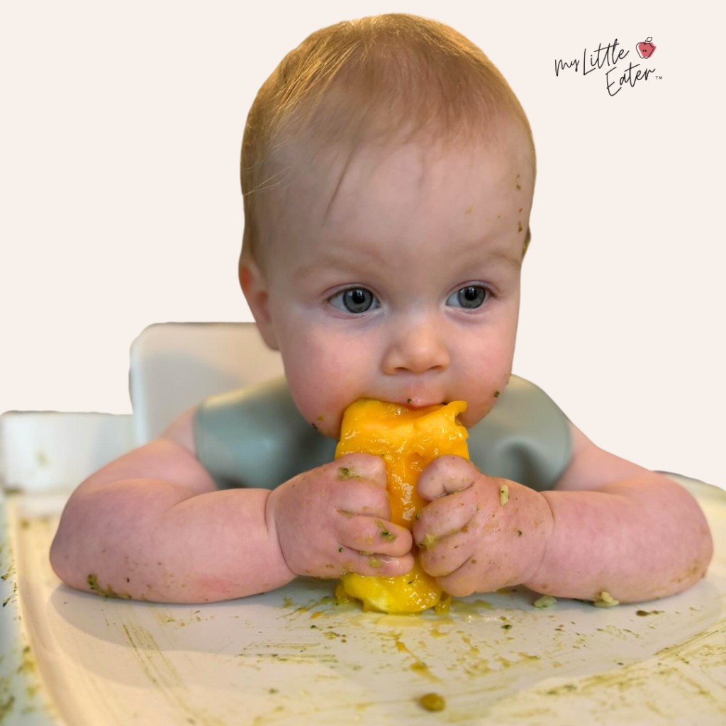 Baby in a high chair practice chewing by mouthing on a mango pit.