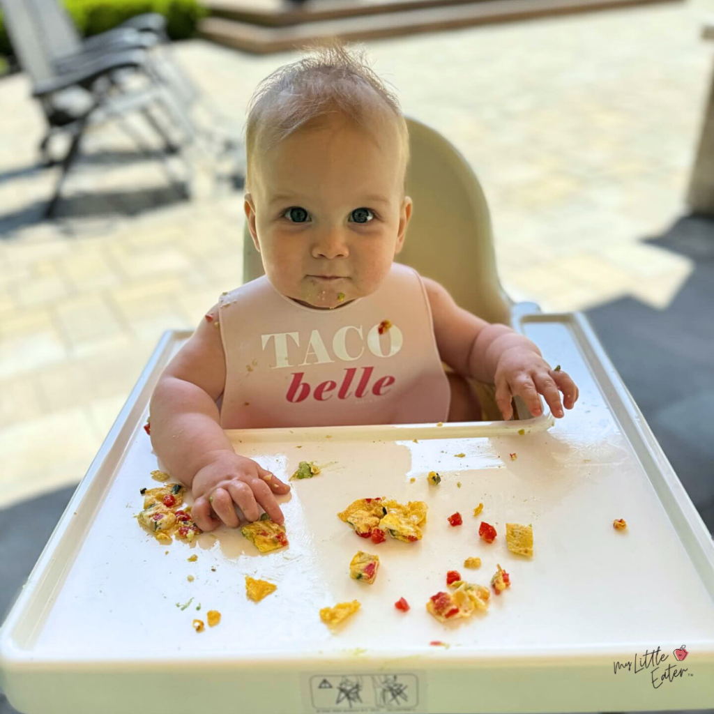 A baby sitting in a highchair with a bib on while they eat eggs in bite-sized pieces with red and green peppers cut up into small pieces.