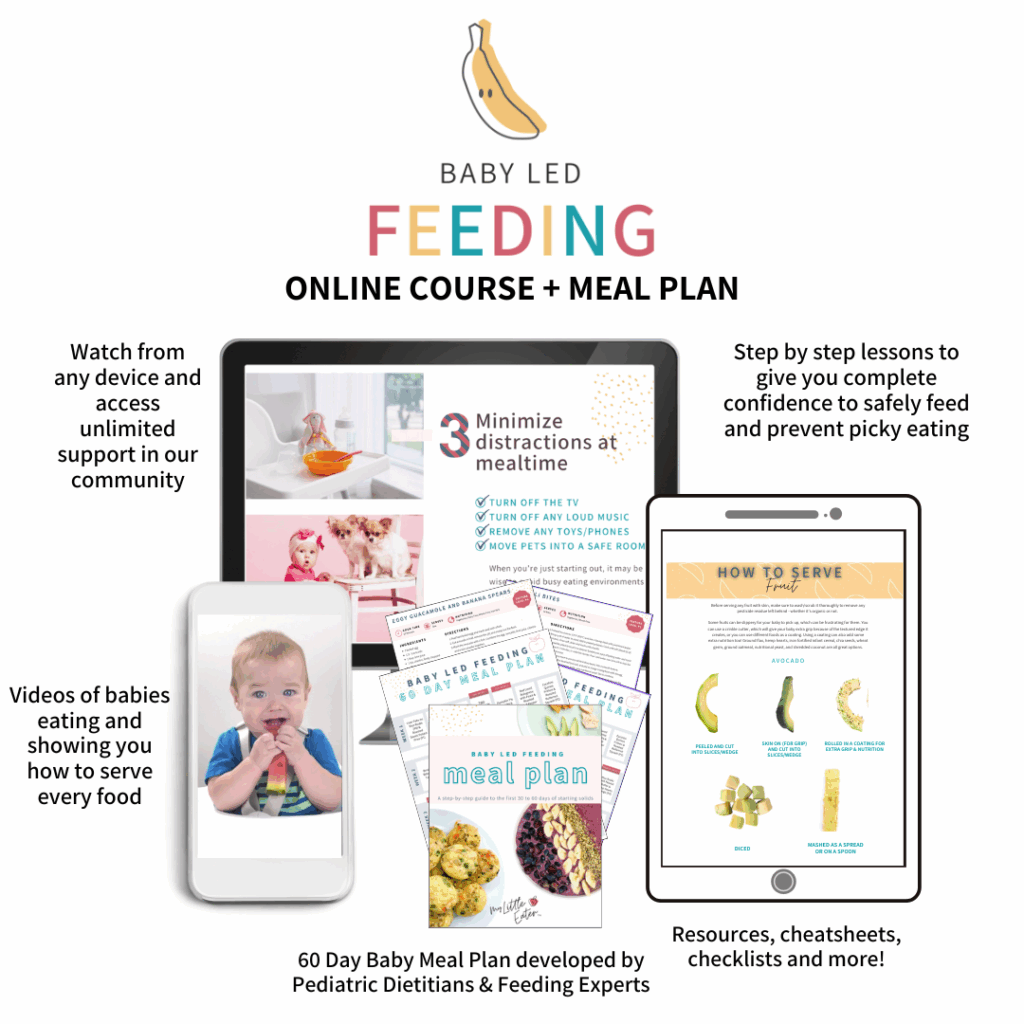 Baby Led Feeding Program by My Little Eater.
