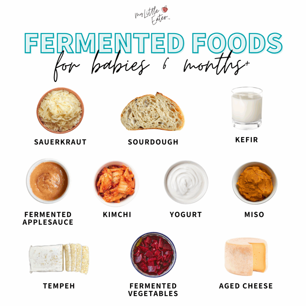 Traditionally fermented foods for babies 6 months and up inclusing sauerkraut, sourdough bread, kefir, fermented applesauce, kimchi, yogurt, miso, tempeh, other fermented vegetables, and aged cheese.