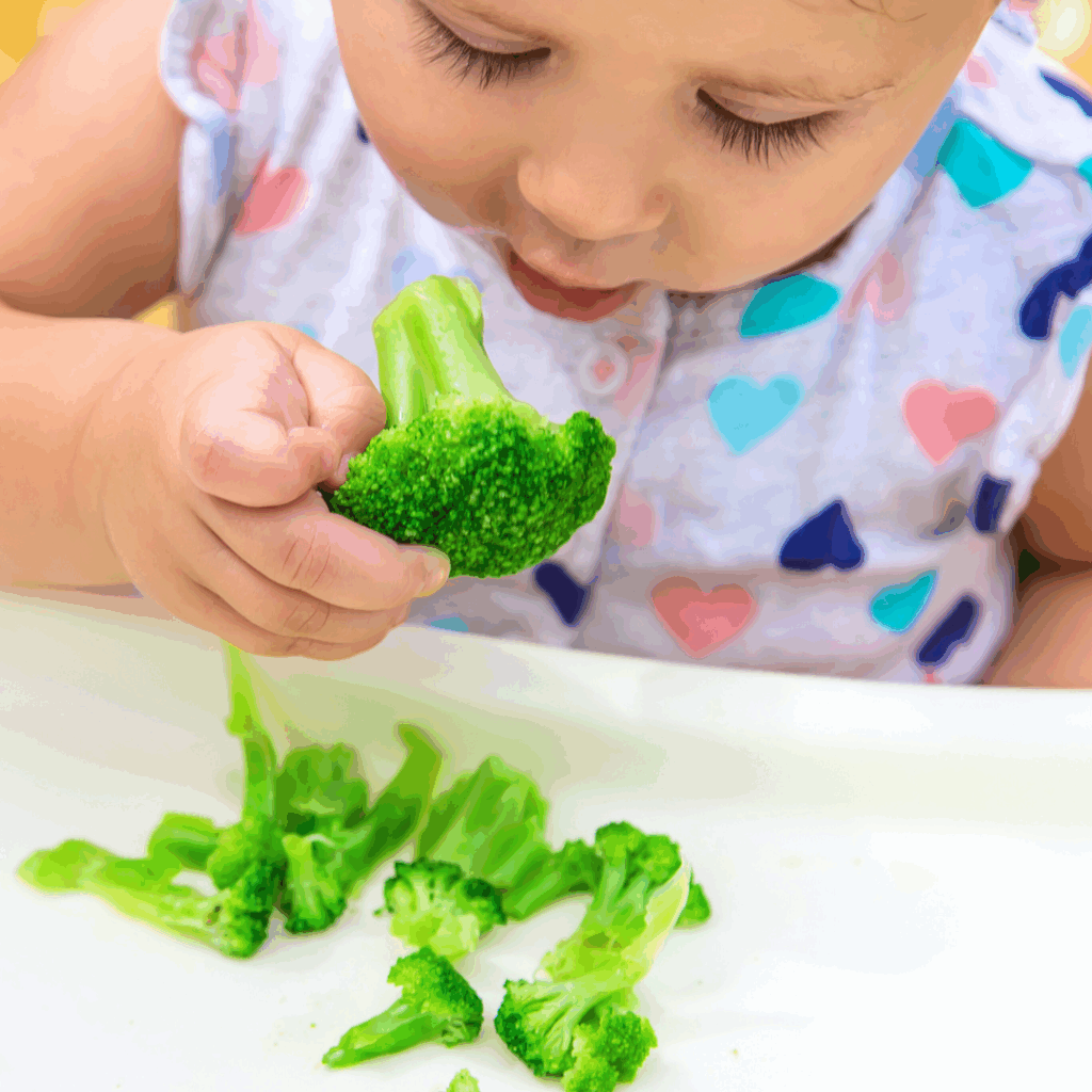 A baby sits at a highchair and eats cooked broccoli florets using a palmar grasp.