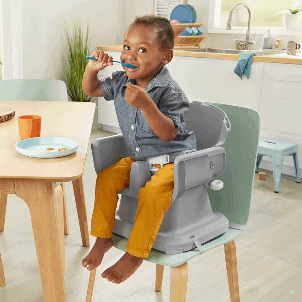 Fisher Price Toddler booster Seat