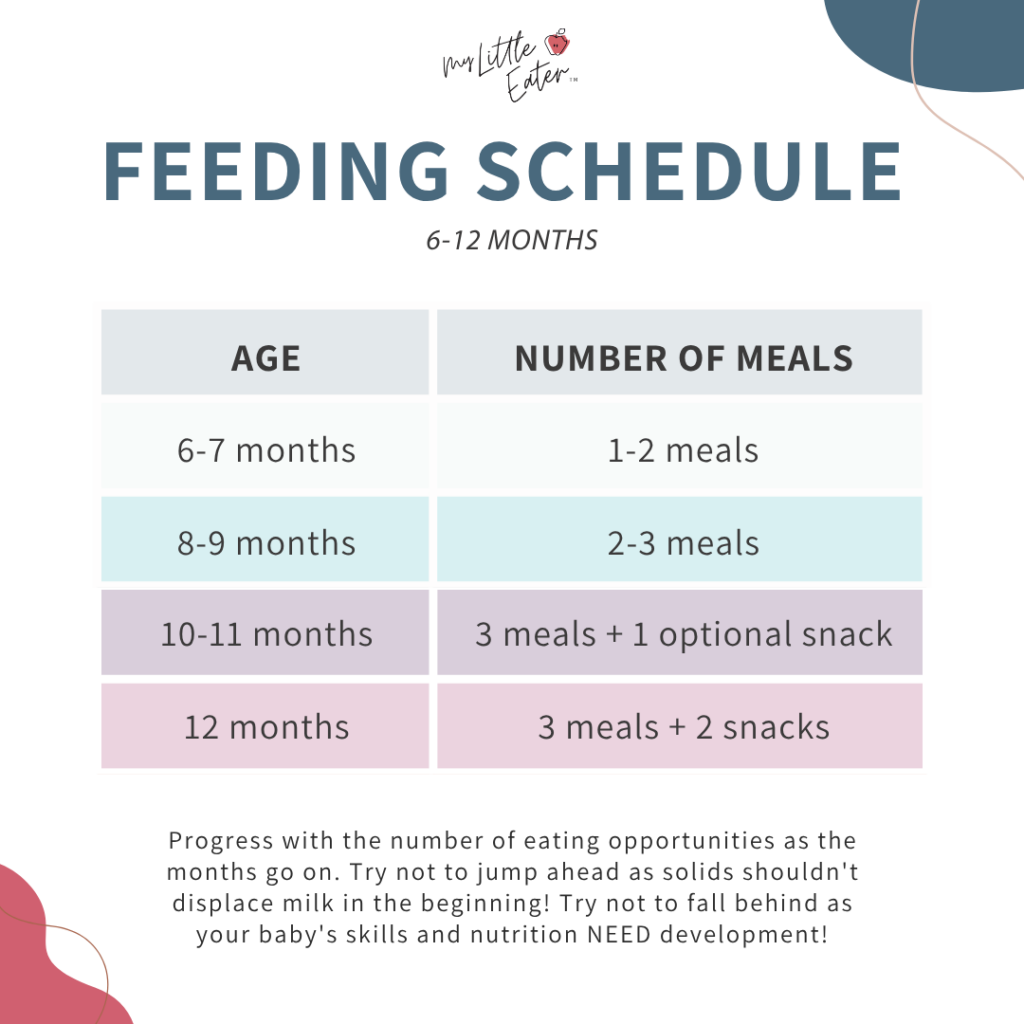 Feeding schedule for babies 6-12 months of age showing how many meals are recommended per day based on age.